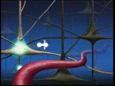 Видео о препарате Нимотоп (Нимодипин) 30 мг